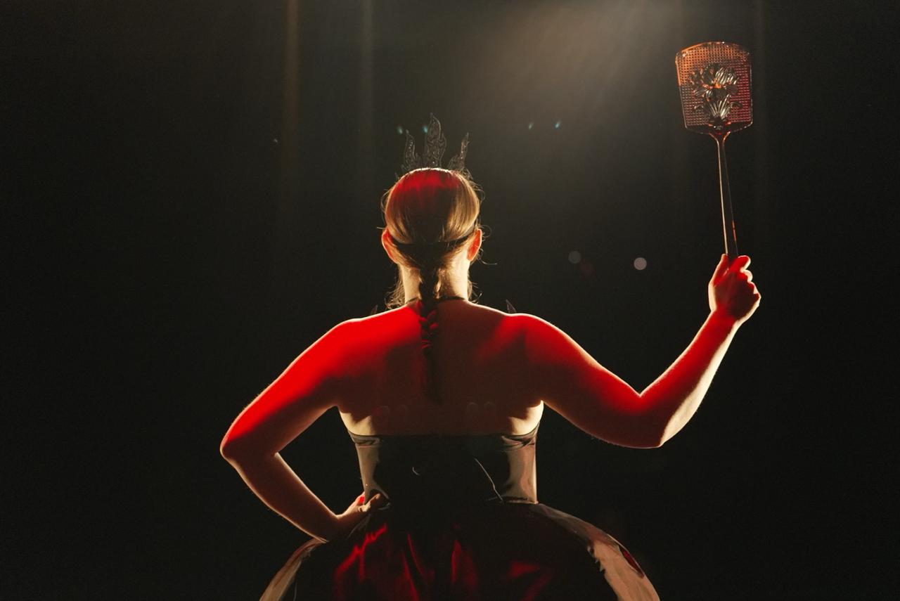 Scène du spectacle - Image 4